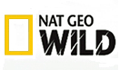 Канал Nat Geo Wild в России!