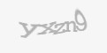 Защитный код