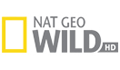National Geographic Wild HD