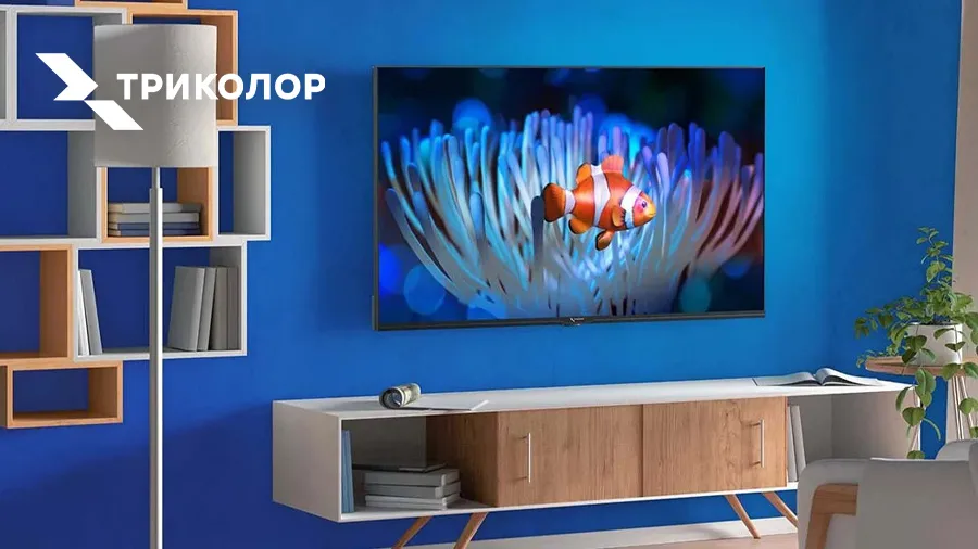 «Триколор» представил новые телевизоры с диагональю 65 и 75 дюймов